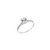 Fink&#39;s Exclusive 14K White Gold Round Diamond Engagement Ring with Pavé Shank