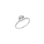 Fink&#39;s Exclusive 14K White Gold Round Diamond Six Prong Engagement Ring