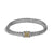 Load image into Gallery viewer, John Hardy Dot Clasp Small Chain Bracelet