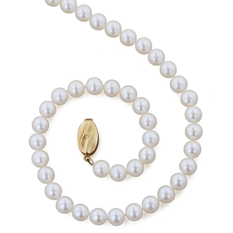Sabel Pearl 14K Yellow Gold Near Round Freshwater Cultured Pearl Strand in 7-8mm Width