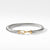 Cable Buckle Bracelet with Gold