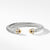 Bracelet with 14K Gold, Size Large (Image 2)