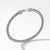 Cable Buckle Bracelet with Gold and Hook Clasp, Size Small