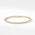 Pavéflex Single Row Bracelet with Diamonds in 18K Gold, Size Medium
