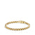 Box Chain Bracelet in Gold
