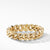 Load image into Gallery viewer, Curb Chain Bracelet in 18K Yellow Gold, Size Medium