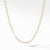 Load image into Gallery viewer, 20&quot; David Yurman Stax Elongated Oval Link Necklace in 18K Yellow Gold