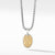 Load image into Gallery viewer, Petrvs® Bee Amulet with 18K Yellow Gold