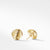 Sculpted Cable Earrings in Gold