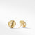 Load image into Gallery viewer, Sculpted Cable Earrings in Gold