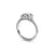 Round Diamond with Cushion Halo Engagement Ring in White Gold