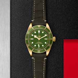 TUDOR Black Bay Fifty-Eight Yellow Gold Watch -  M79018V-0001 at Fink's Jewelers