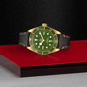 TUDOR Black Bay Fifty-Eight Watch Laying Down -  M79018V-0001 at Fink's Jewelers