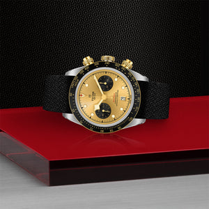 TUDOR Black Bay Chrono S&G Watch on Side - M79363N-0006 at Fink's Jewelers