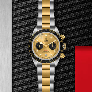 TUDOR Black Bay Chrono S&G Watch with Champagne-colour Dial - M79363N-0007 at Fink's Jewelers