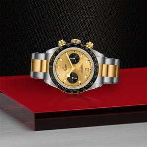 TUDOR Black Bay Chrono S&G Watch on Side - M79363N-0007 at Fink's Jewelers