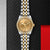 TUDOR Black Bay 36 S&amp;G Watch with Champagne-colour Dial - M79653-0007 at Fink&#39;s Jewelers