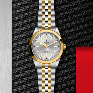 TUDOR Black Bay 41 S&G Watch with Silver Dial - M79683-0002 at Fink's Jewelers
