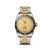 TUDOR Black Bay S&amp;G