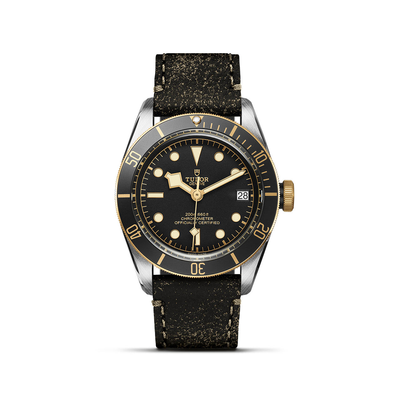 TUDOR Black Bay S&G Watch with Aged Leather Strap