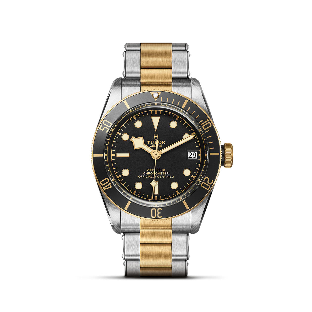 TUDOR Black Bay S&G