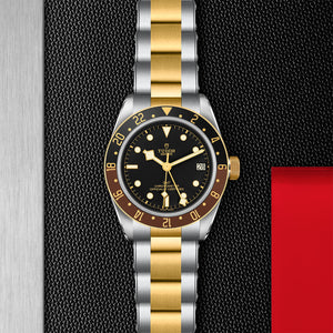Tudor Black Bay GMT S&G Watch with Black Domed Dial on Display