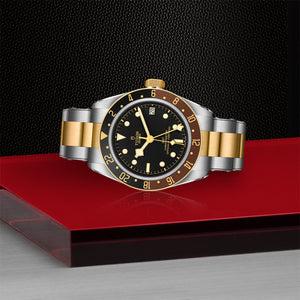 Tudor Black Bay GMT S&G Watch with Black Domed Dial on Side