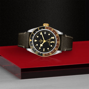 Tudor Black Bay GMT S&G Watch on Side