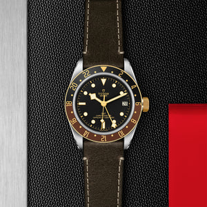Tudor Black Bay GMT S&G Watch on Display