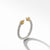 Renaissance Ring, 14K Yellow Gold and Diamonds, Size 7