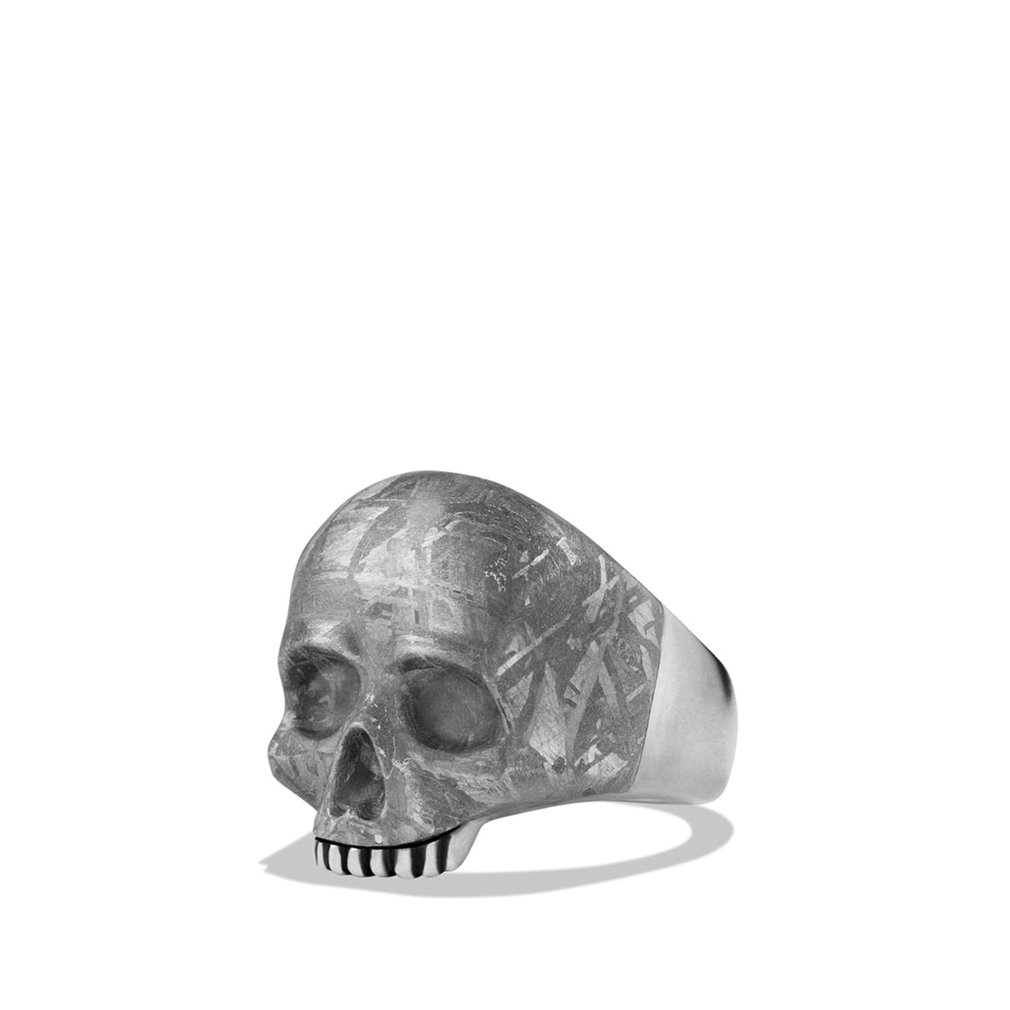 Skull Ring with Carved Meteorite, Size 12