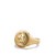Load image into Gallery viewer, Petrvs® Lion Signet Ring in Gold, Size 8.5
