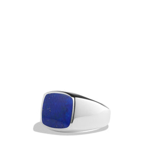 Exotic Stone Ring with Lapis Lazuli in Silver, 12mm, Size 11