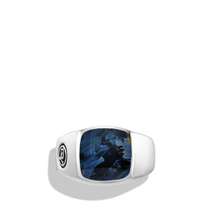 Exotic Stone Signet Ring with Pietersite, Size 11