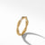 David Yurman The Infinity Collection Ring in 18-Karat Yellow Gold