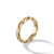 Cable Edge Band Ring in Recycled 18K Yellow Gold, Size 6