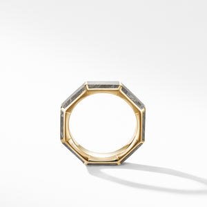 Faceted Band Ring in 18K Yellow Gold with Meteorite, Size 10
