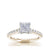 Load image into Gallery viewer, The Studio Collection Princess Cut Center Diamond with Diamond Gallery and Shank Engagement Ring