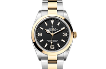 Explorer 36, Oyster, 36 mm, Oystersteel and yellow gold Front Facing