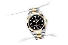 Rolex Explorer 36 in Oystersteel and Yellow Gold - M124273-0001 at Fink&#39;s Jewelers