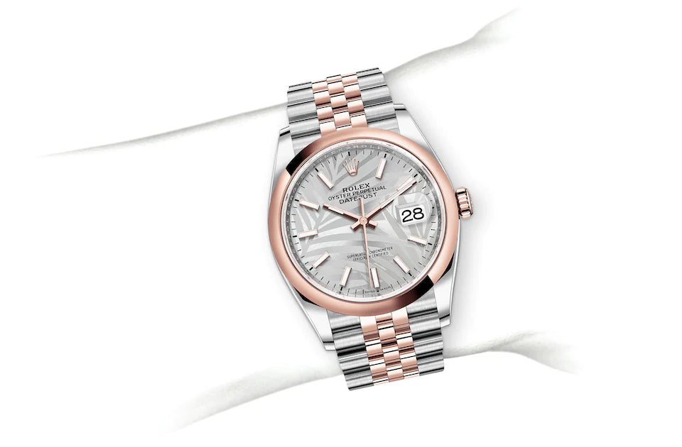 Rolex Datejust 36 in Oystersteel and Everose Gold - M126201-0031 at Fink's Jewelers