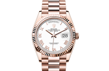 Day-Date 36, Oyster, 36 mm, Everose gold Front Facing