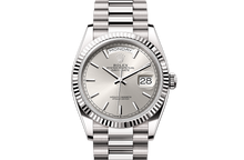 Day-Date 36, Oyster, 36 mm, white gold Front Facing