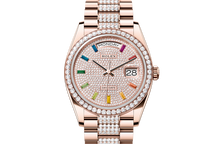 Day-Date 36, Oyster, 36 mm, Everose gold and diamonds Front Facing